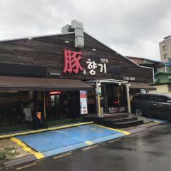 豚香氣張用戶圖片