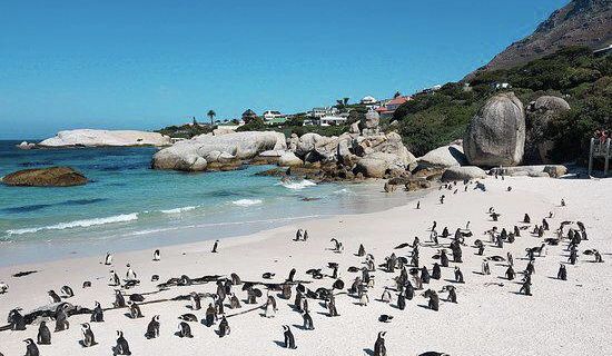 Otway Sound & Penguin Reserve