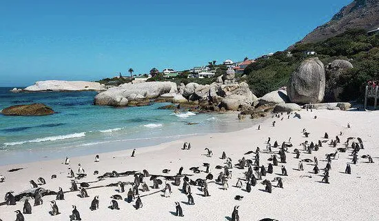 Otway Sound & Penguin Reserve