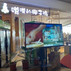 嗲嗲的椰子鸡(海棠湾店) User Photo