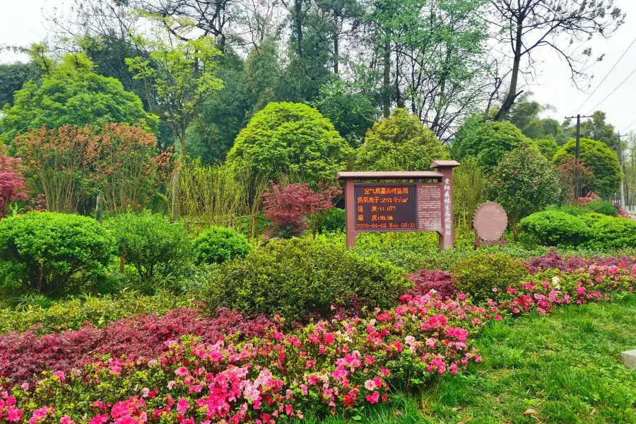 Ланчжоу Склон лесной парк