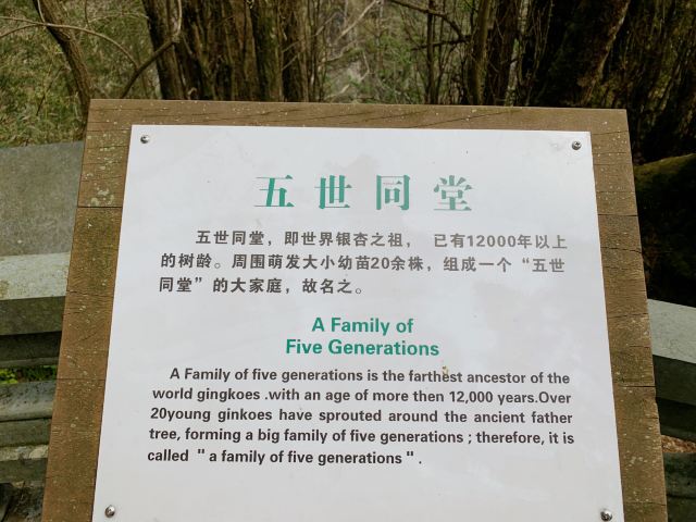 五世同堂