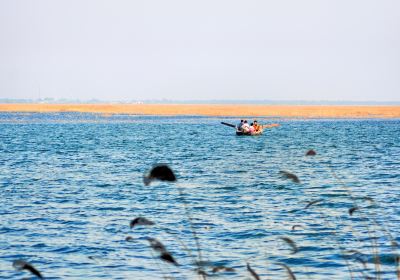 Hengshui Lake