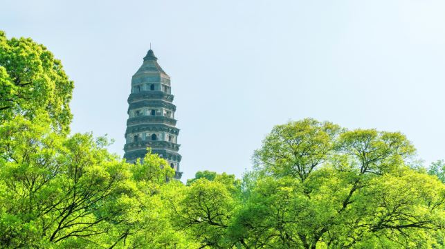 蘇州一日遊【包車含英文導遊 自選拙政園/虎丘山風景名勝區/留園/寒山寺】