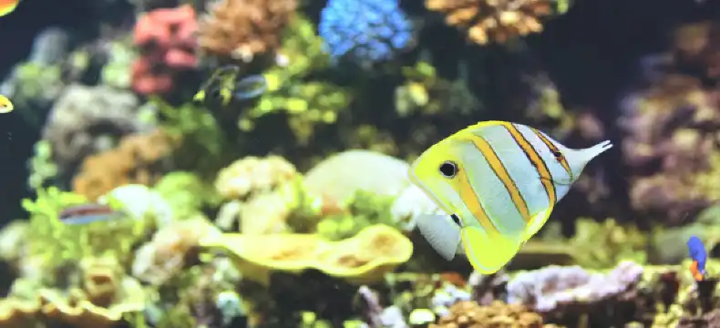 Hotels near Townsville Railway Station