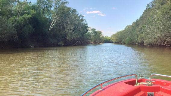 Mary River National Park