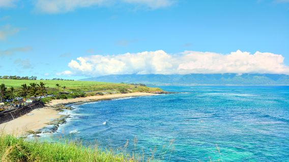 Maui County