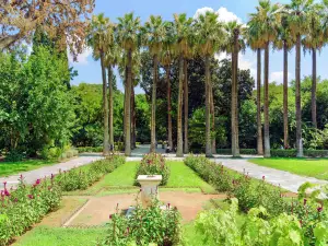 Popular Family-Friendly Attractions in Central Athens
