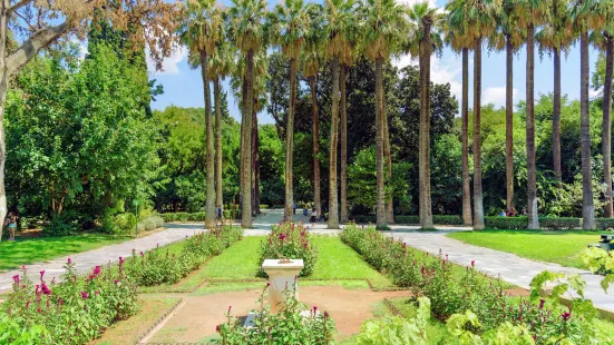 Athens National Garden