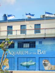 Aquarium of the Bay