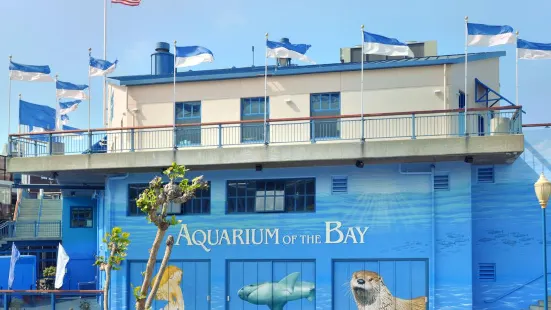 Aquarium of the Bay