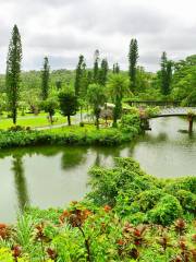 美らヤシパークオキナワ・東南植物楽園