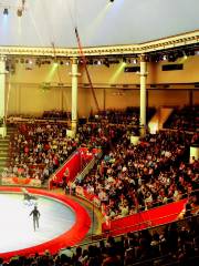 Moscow Circus on Ice