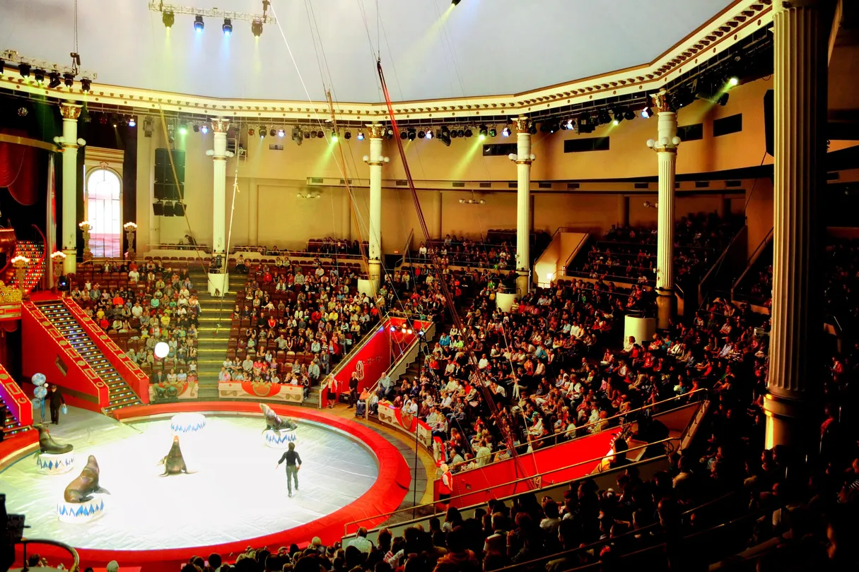 2_Московский Цирк Никулина на Цветном бульваре