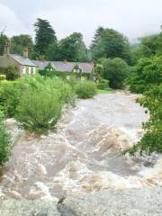 The Fairy Glen