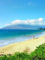 Kamaole Beach Park III