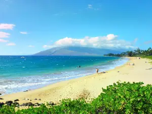 Kamaole Beach Park III