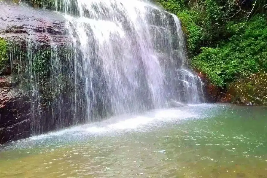 Laogou Primeval Forest