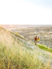 Badlands National Park