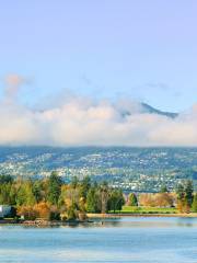 Cypress Mountain