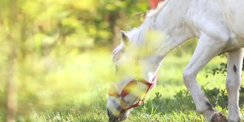 Hotel in zona Suqian Zoo
