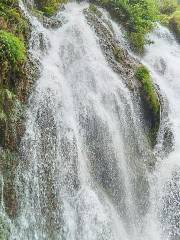 Laya Waterfall