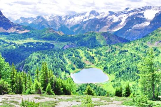 Improvement District No. 9