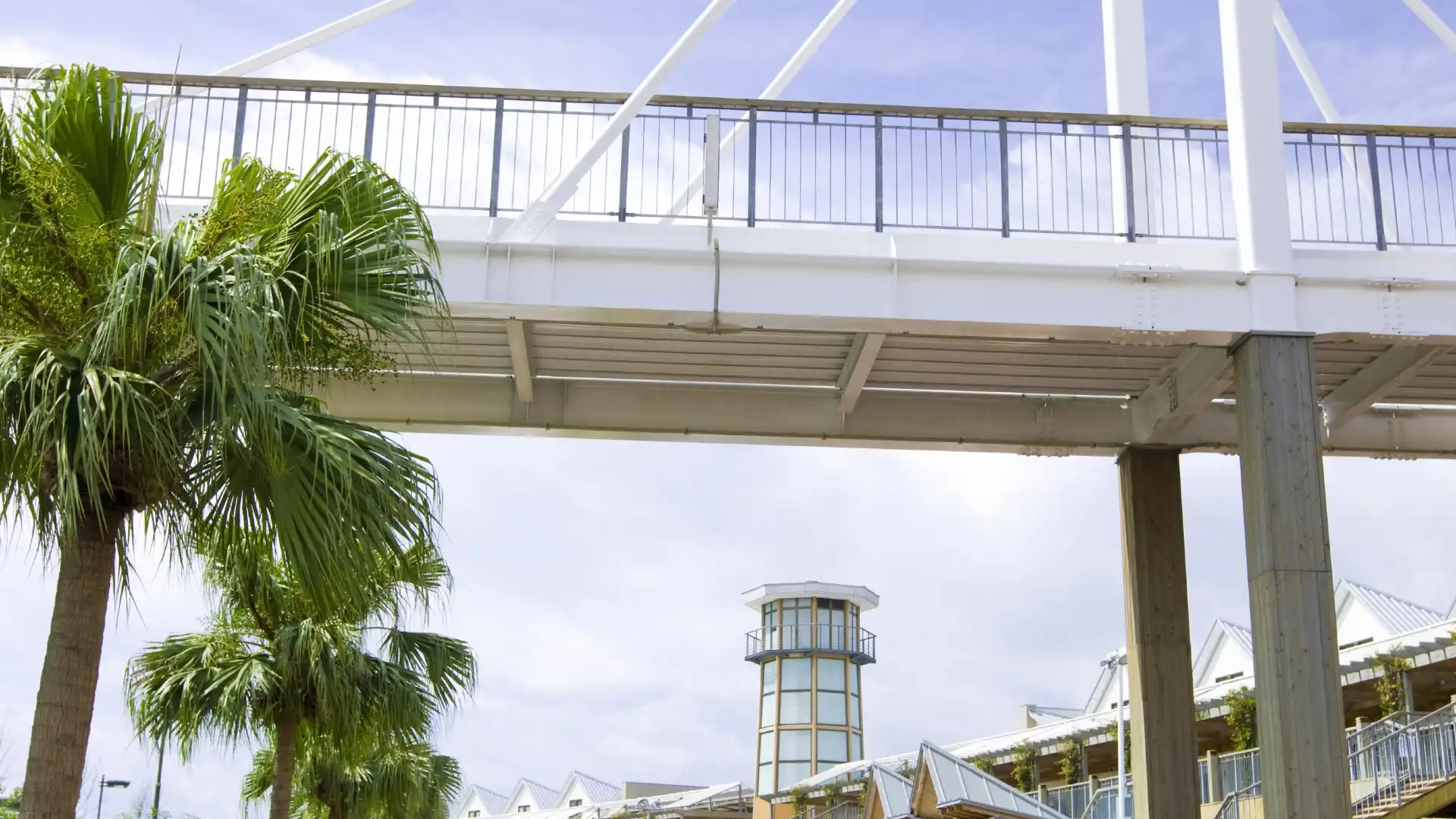Hotels near Dolphin Port