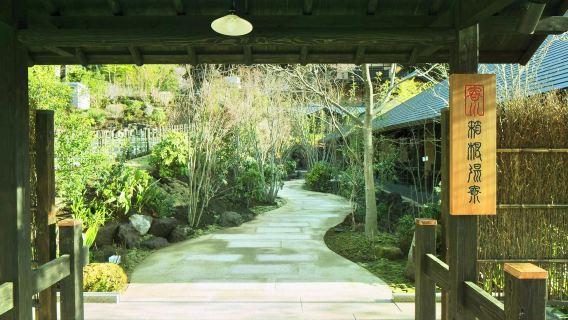 日本東京+箱根湯寮一日遊【◇東京來回-1單1團+中文司機】