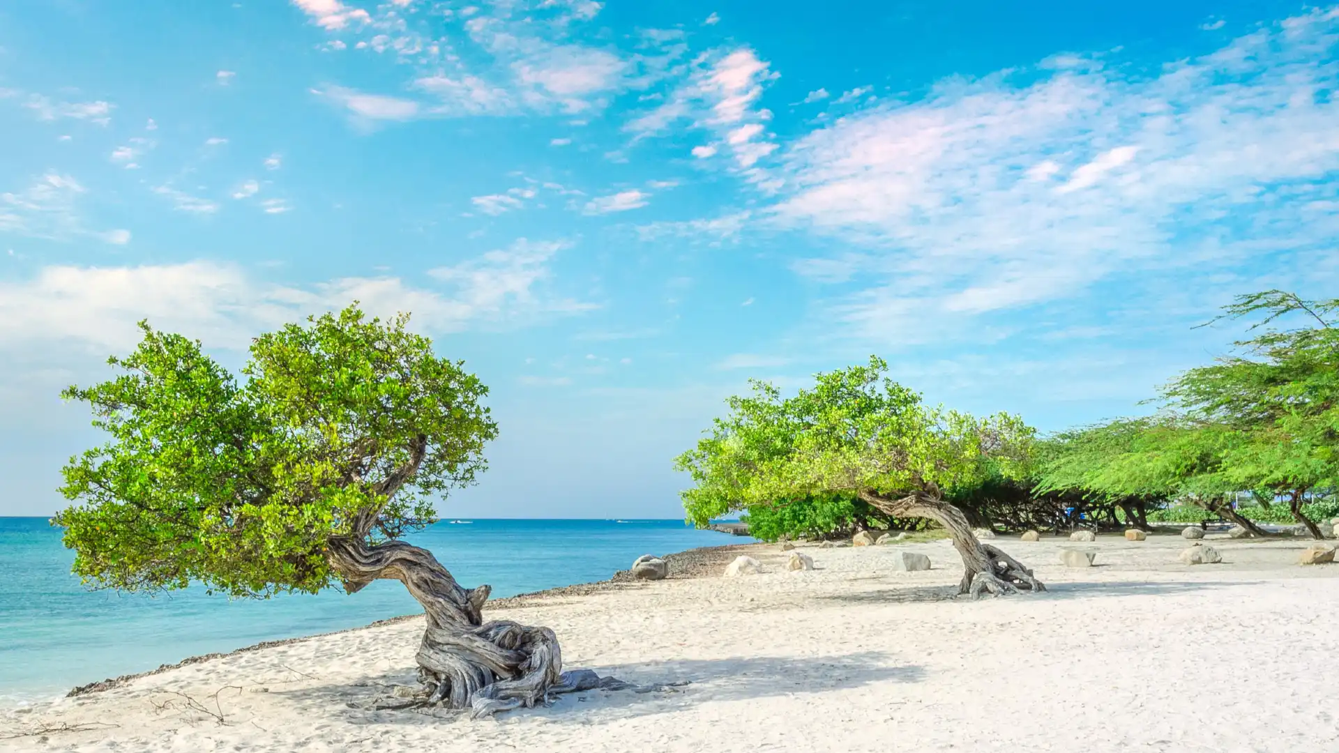 Hotels near Palm Beach