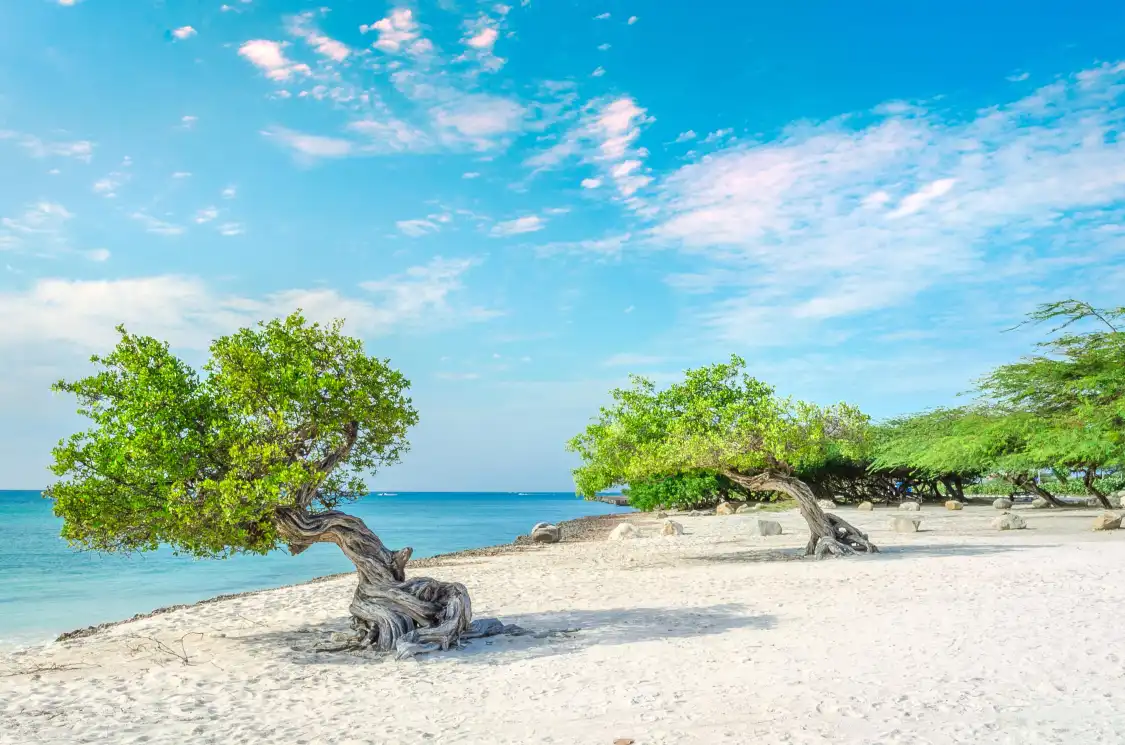 Hotels near Palm Beach