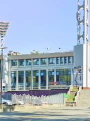 Dynamo Stadium named after Valeriy Lobanovsky