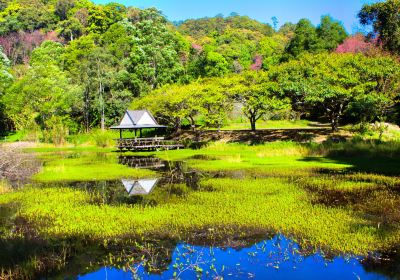 Amphoe Mae Rim