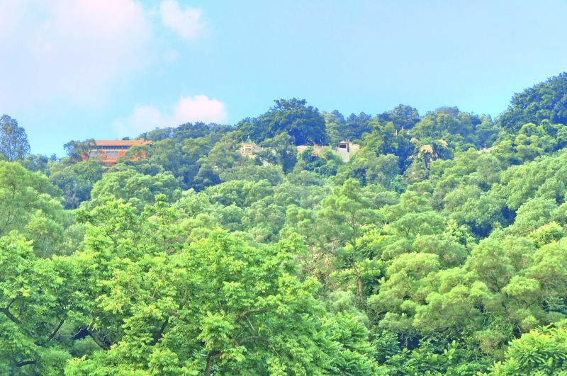 黃岐山森林公園