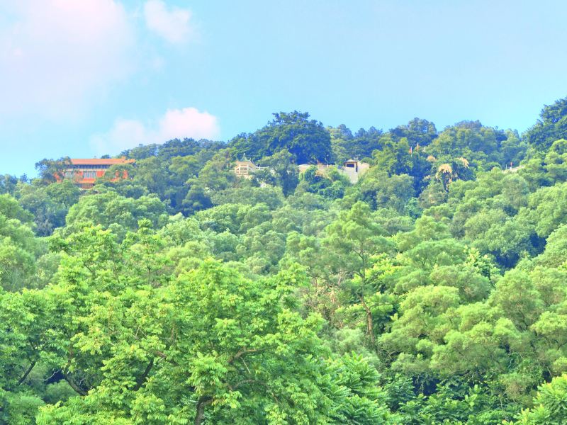 黃岐山森林公園