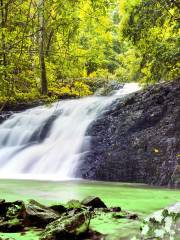 Khao Phanom Bencha National Park