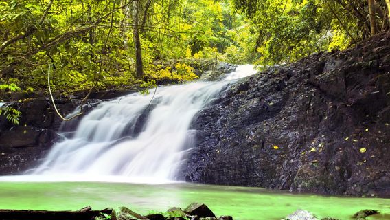 Khao Phanom Bencha National Park