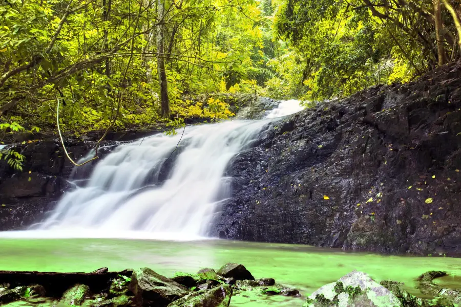 Khao Phanom Bencha National Park