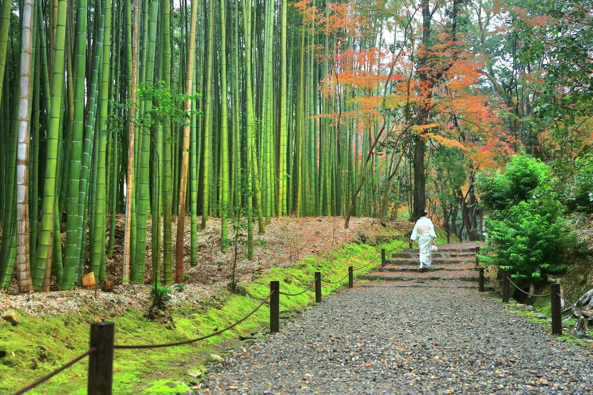 1_Jizō-in Temple (Tsubaki-dera)