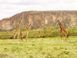 ヘルズ・ゲート国立公園