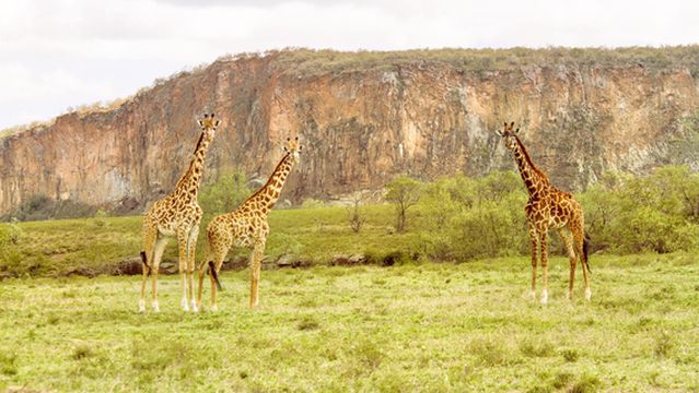 ヘルズ・ゲート国立公園