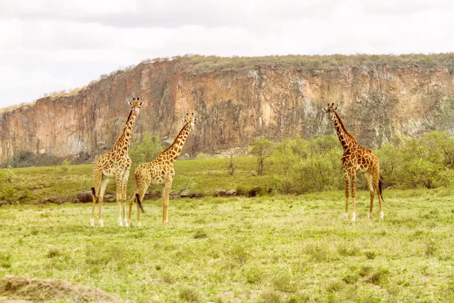 Hells Gate National Park