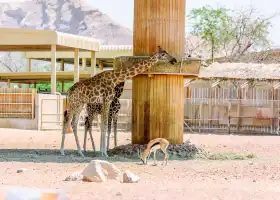 Emirates Park Zoo