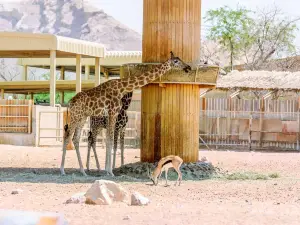 Emirates Park Zoo
