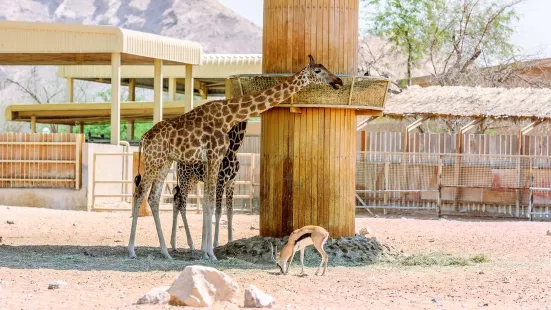 Emirates Park Zoo