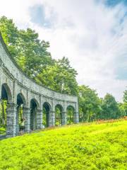 三垟湿地公園停車場