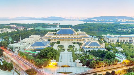 WuhanTravel Services