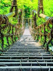 Vine Bridge in the Iya Valley