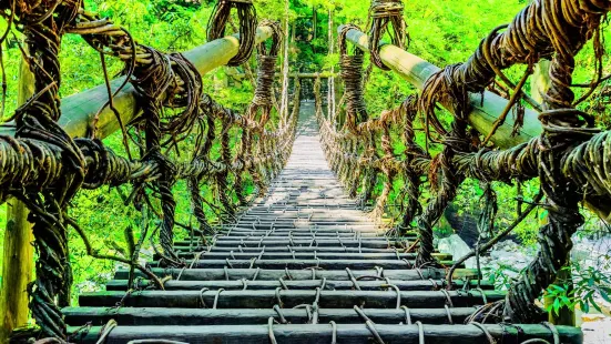 Vine Bridge in the Iya Valley