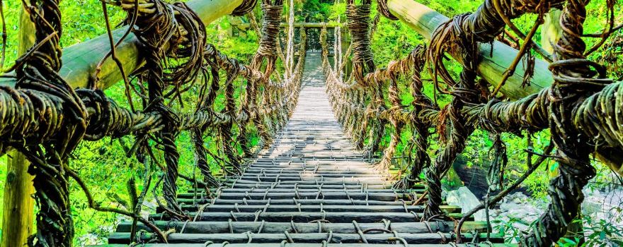 Vine Bridge in the Iya Valley